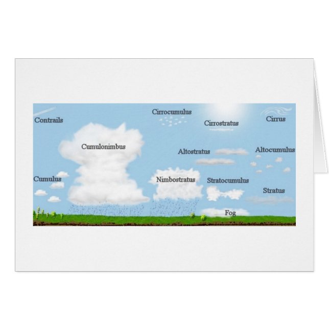 Tipos de la nube (Anverso (Horizontal))