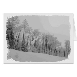 Tips blancas nevadas