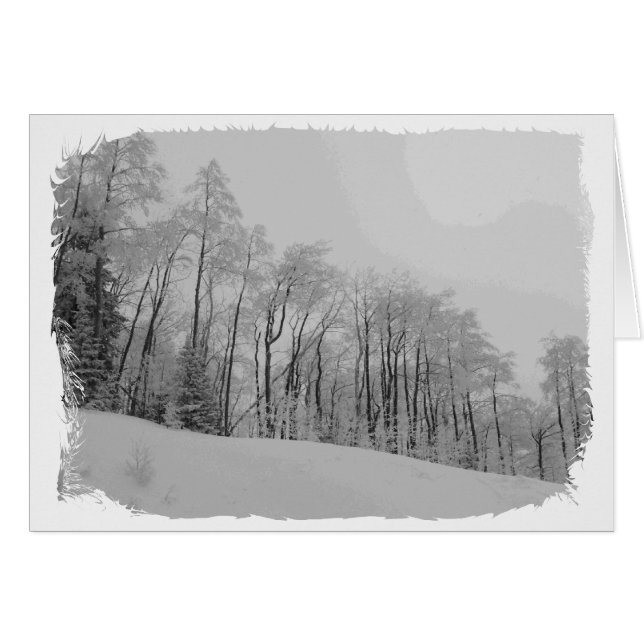 Tips blancas nevadas (Anverso (Horizontal))