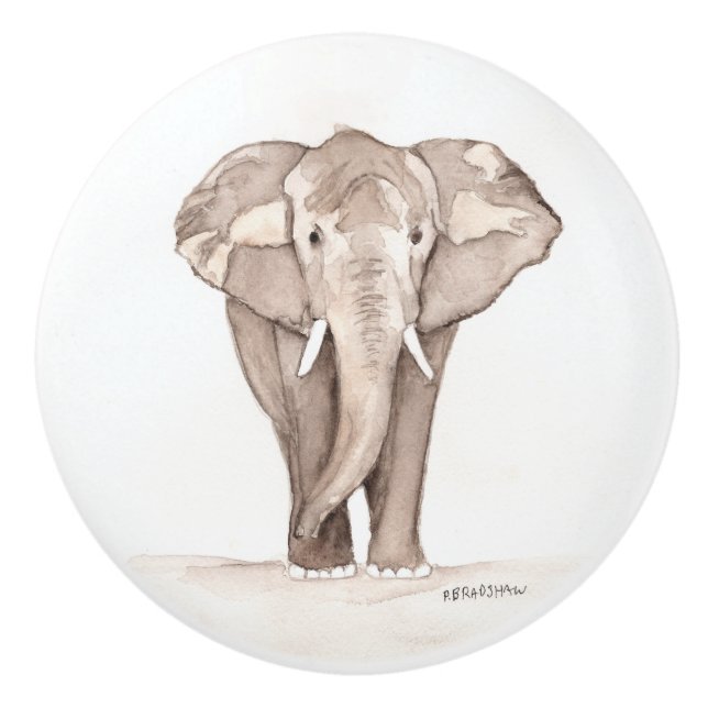 tirador de cajón de elefante (Anverso)
