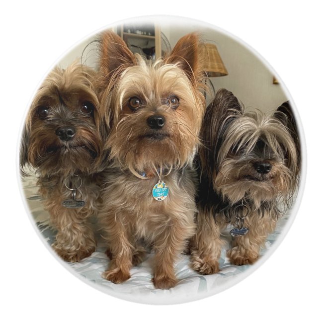 Tirador de cerámica (Anverso)