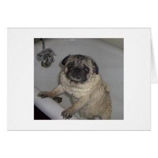 tirador mojado, tarjeta en blanco