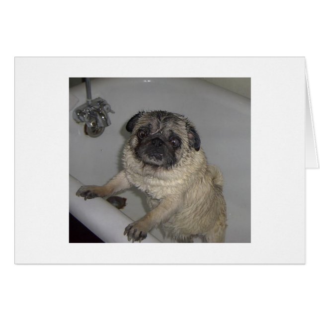 tirador mojado, tarjeta en blanco (Anverso (Horizontal))