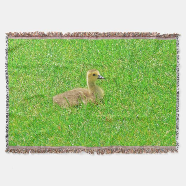 Tirar una manta (Anverso)