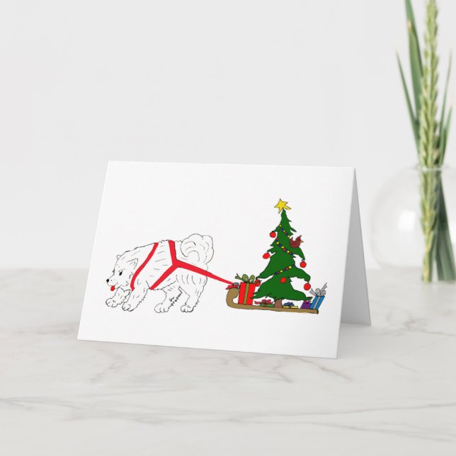 Tire del samoyedo que tira del árbol de navidad (Anverso)