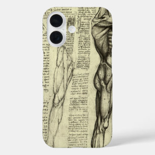 title_seo2 Anatomía Humana de Leonardo da Vinci Músculos Masc