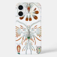 Animales del océano vintage, Copepoda de Ernst Hae