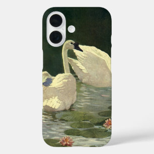 title_seo2 Animales Salvajes Aves Antiguos, Cisnes Blancos Vi
