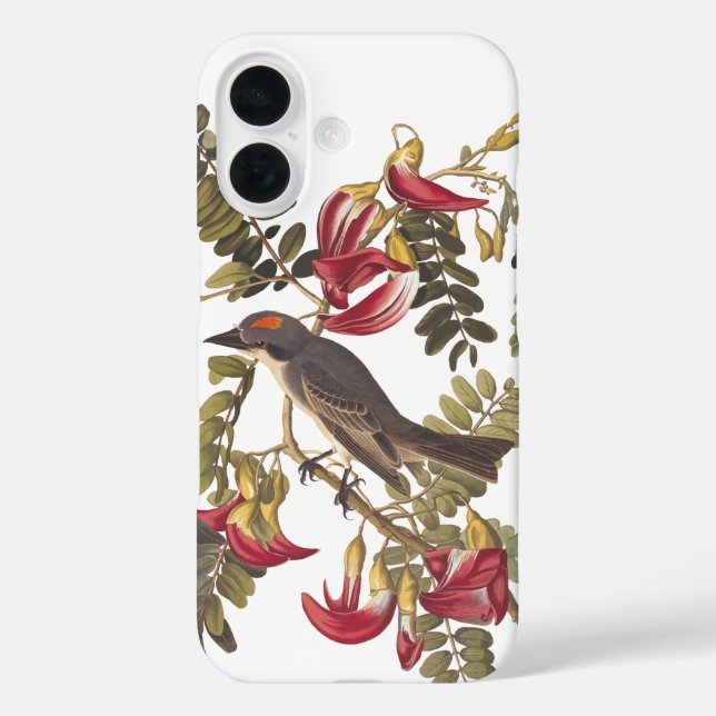 title_seo2 Ave Gray Tyrant Audubon en el árbol Hummingbird (Reverso )