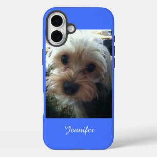 title_seo2 Azul o ELEGIR TU COLOR Corte Yorkie