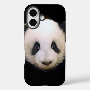 title_seo2 Baby Panda