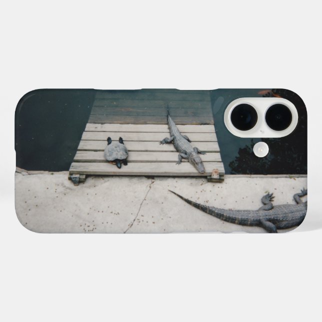 title_seo2 Bolsa de Reptiles (Reverso (Horizontal))