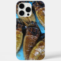 Bug de agua gigante frito (Maeng Daa) ... Comida a