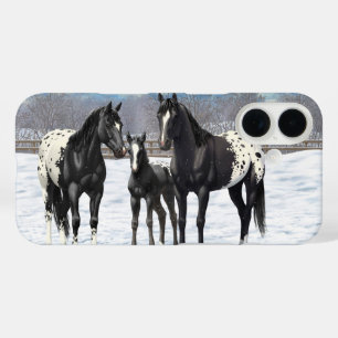 title_seo2 Caballos Appaloosa Negros En Nieve