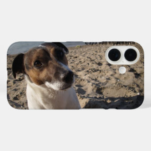 title_seo2 Capo von Oppenheim Jack Russell Terrier, Perro