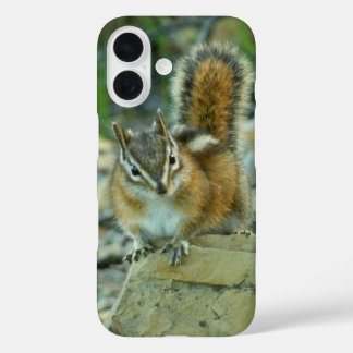 title_seo2 Chipmunk en el Parque Nacional Glaciar