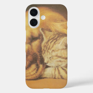title_seo2 Compañeros Eternos   Hermoso Acurrucarse de Gatos 
