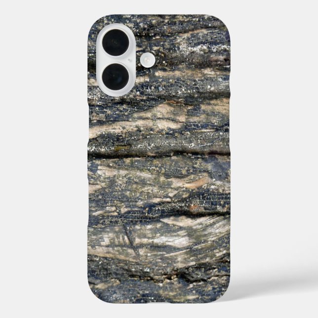 title_seo2 corteza de árbol (Reverso )