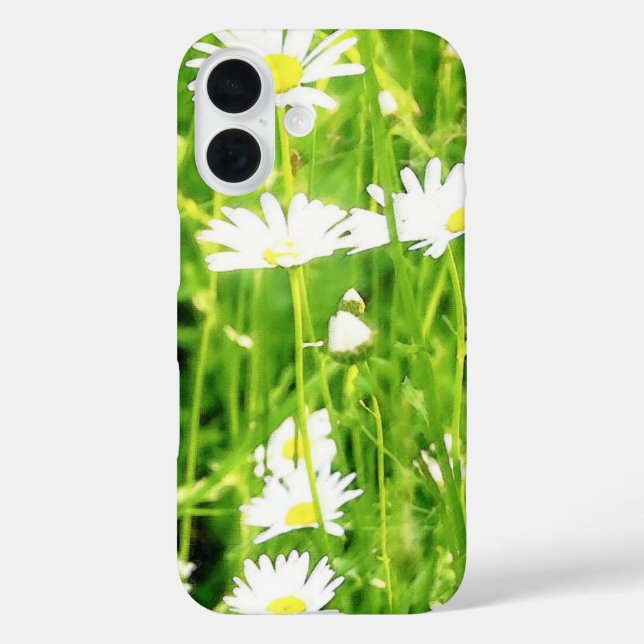 title_seo2 Daisy Field (Reverso )