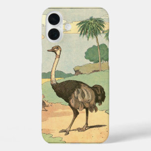 title_seo2 Dibujo de Ostrich Storybook