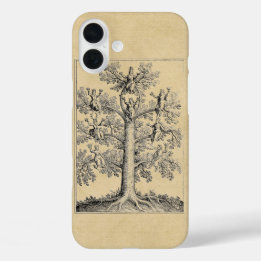 title_seo2 El árbol de la vida como filosofía