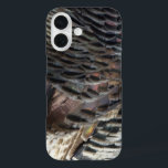 title_seo2 El diseño de la naturaleza abstracta de las plumas<br><div class="desc">Cuando estábamos en el Parque Nacional de Zion, encontramos un pavo salvaje que no era tan salvaje - nos siguió a unos 800 metros por el camino. Aquí hay una imagen abstracta de las plumas que muestra patrones de gris, negro y marrón. Esta foto es la primera de una serie...</div>