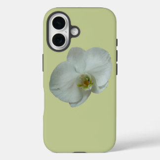 title_seo2 Elegante Flor Orquídea Blanca Botánica