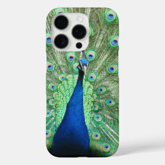 title_seo2 Estuche de teléfono - Orgulloso pavo real