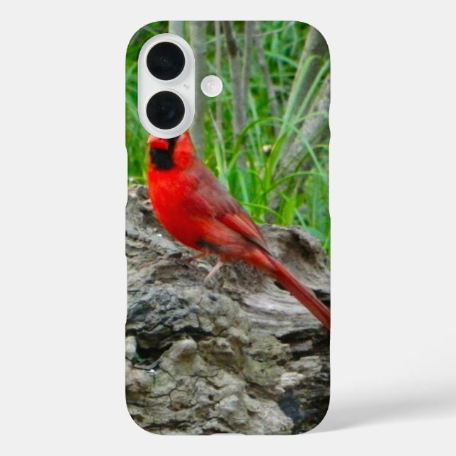 title_seo2 Estuche para iPhone de Cardenal Rojo (Ohio) (Reverso )