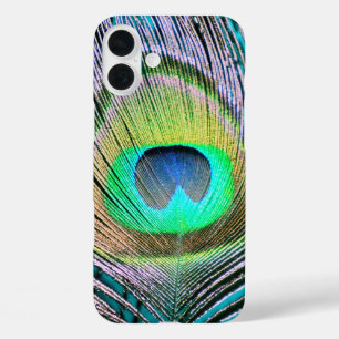 title_seo2 Feather de pavo real sobre turquesa