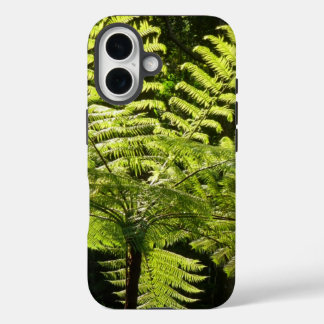 title_seo2 Fern arbolado en la selva tropical