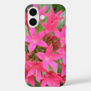 title_seo2 Flores Tropicales Rosa Brillante