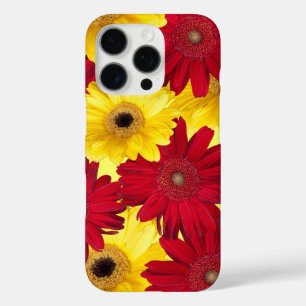 title_seo2 Fotografía Floral de Clausura de Gerber Daisy