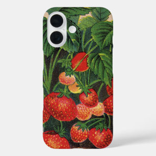title_seo2 Fresas de época, fresas en una granja