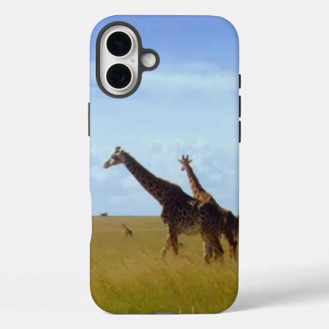 title_seo2 Grafas de Safari Africano (Reverso )