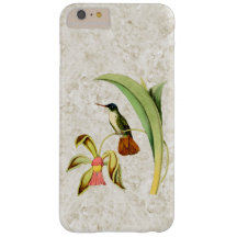 Hummingbird con orquídea