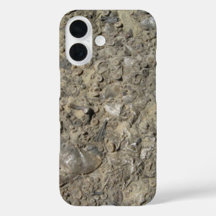 title_seo2 Impresión de Hash Fossil