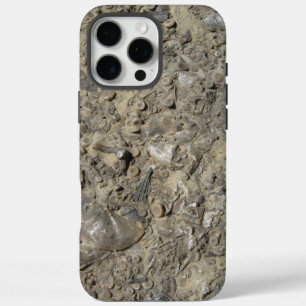 title_seo2 Impresión de Hash Fossil