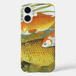 title_seo2 Koi Fish, pez dorado, vida marina acuática