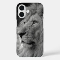 León blanco y negro - Animal salvaje
