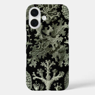 title_seo2 Lichen de Ernst Haeckel, Vintage Nature Plants