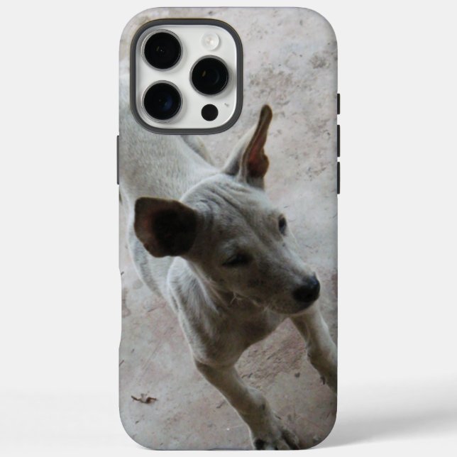 title_seo2 Luk Maa... Perro picante tailandés (Reverso)