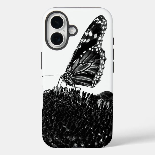 title_seo2 mariposa tímida blacq (Reverso )