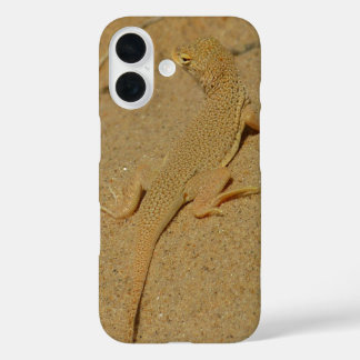title_seo2 Mojave Lizard