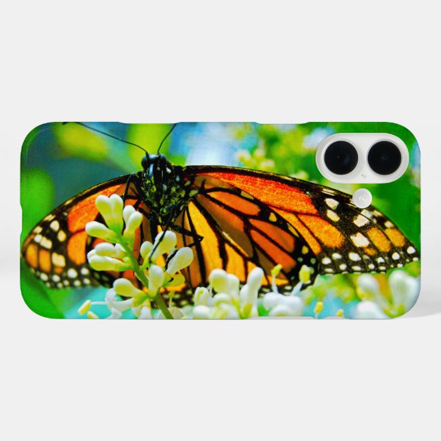 title_seo2 Naranja monarca mariposa foto audaz simple moderna (Reverso  (Horizontal))