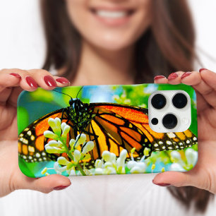 title_seo2 Naranja monarca mariposa foto moderna audaz elegan
