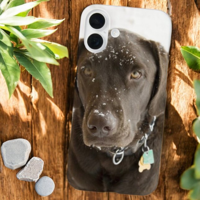 title_seo2 Nieve dorada aspersa chocolate labrador (iPhone case back)
