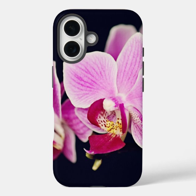 title_seo2 Orquídea rosa de Fuchsia (Reverso )