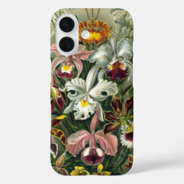 title_seo2 Orquídeas de Ernst Haeckel, Flores Vintage de la S