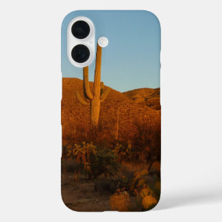 title_seo2 Paisaje del desierto de Saguaro Sunset I Arizona